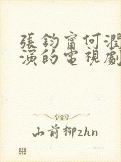 张钧甯何润东主演的电视剧叫什么