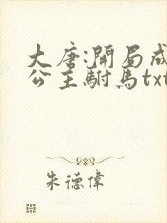 大唐:开局成了公主驸马txt下载