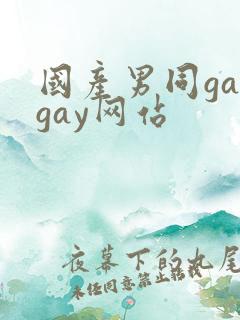 国产男同gaygay网站
