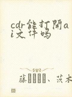 cdr能打开ai文件吗