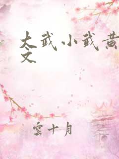 大武小武黄蓉原文