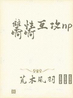双性互攻np啊啊啊