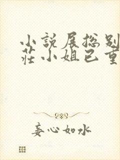 小说展总别虐了庄小姐已重生全文看