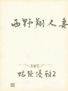 西野翔人妻系列