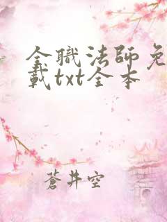 全职法师免费下载txt全本
