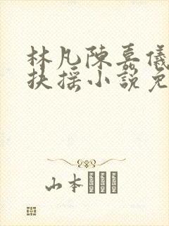 林凡陈嘉仪袖手扶摇小说免费阅读