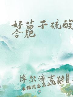 好苗子硫酸钾复合肥