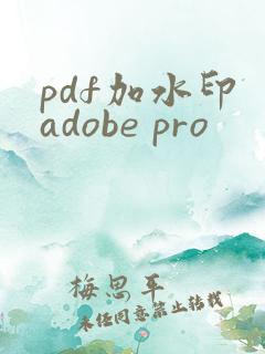 pdf加水印 adobe pro