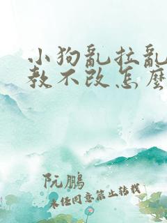 小狗乱拉乱尿屡教不改怎么办