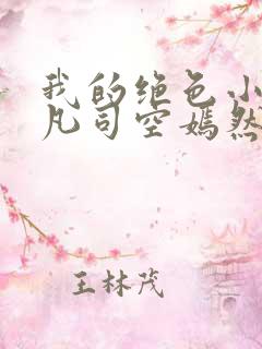 我的绝色小姨叶凡司空嫣然