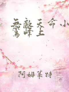 无敌天命小说青鸾峰上