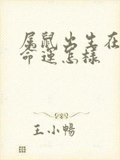属鼠出生在子时命运怎样