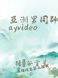 亚洲男同帅哥gayvideo