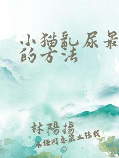 小猫乱尿最有效的方法