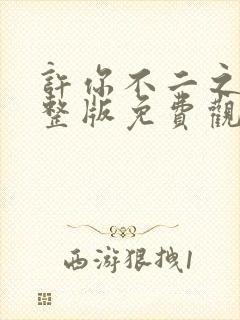 许你不二之臣完整版免费观看