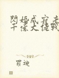 闪婚成宠老公是千亿大佬战胤海