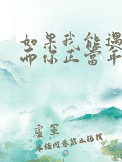 如果我能遇见你而你正当年轻的歌名是什么