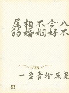 属相不合八字合的婚姻好不好?