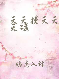 天天摸天天操天天碰
