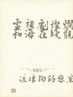 电视剧灿烂的风和海在线观看