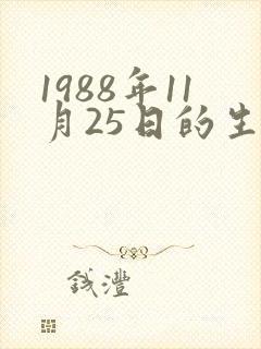 1988年11月25日的生辰八字