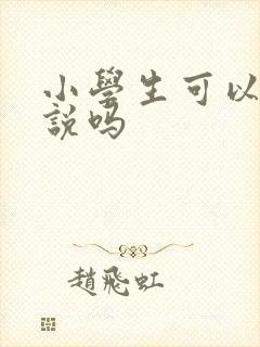 小学生可以写小说吗
