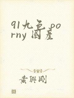 91九色 porny 国产