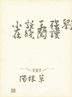 小说王强刘晓静在线阅读