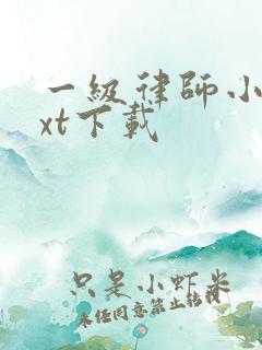 一级律师小说txt下载