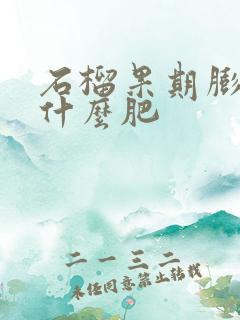 石榴果期膨大用什么肥