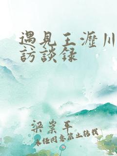 遇见王沥川导演访谈录
