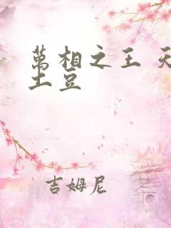 万相之王 天蚕土豆