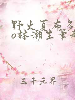 野火夏布多昂po林潮生笔趣阁