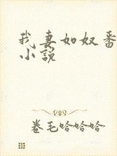 我妻如奴番外篇小说