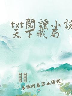 txt阅读小说天下藏局