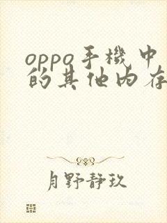 oppo手机中的其他内存怎么清理