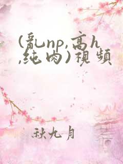 (乱np,高h,纯肉)视频