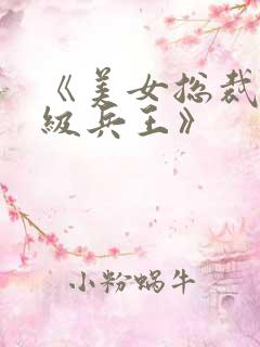 《美女总裁的神级兵王》