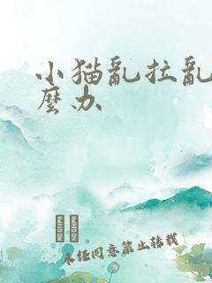 小猫乱拉乱尿怎么办