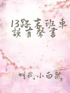 13路末班车小说有声书