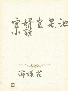 官婿岂是池中物小说
