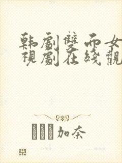 韩剧双面女人电视剧在线观看全集