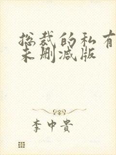总裁的私有宝贝未删减版