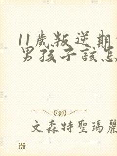 11岁叛逆期的男孩子该怎样去沟通教育