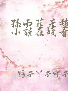 孙雨菲老赵表舅小说在线看免费阅读
