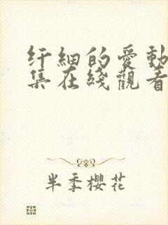 纤细的爱动漫全集在线观看免费