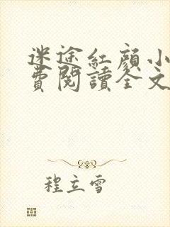 迷途红颜小说免费阅读全文