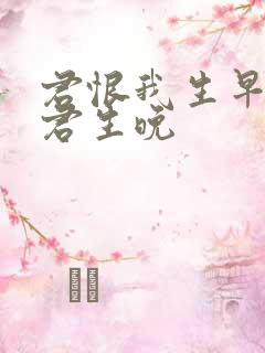 君恨我生早我恨君生晚