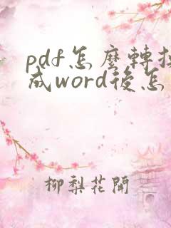 pdf怎么转换成word后怎么排版