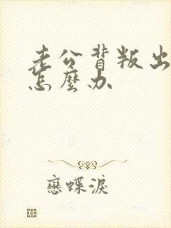 老公背叛出轨了怎么办